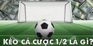 Kèo 1/2 là gì - Cách đọc và bắt kèo nửa trái dễ thắng