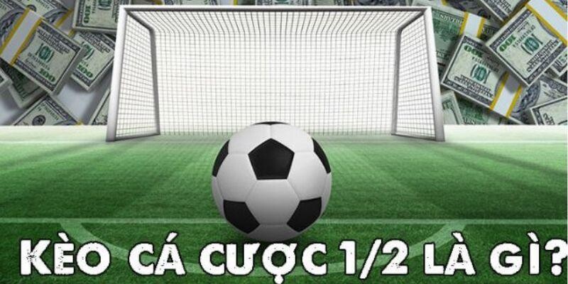 Kèo 1/2 là gì - Cách đọc và bắt kèo nửa trái dễ thắng