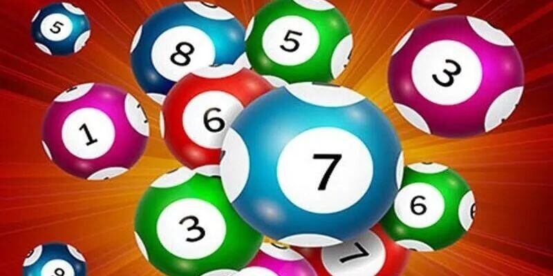 Lưu ý thiết thực giúp quá trình nuôi lô an toàn